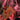 Crimson Gaze
