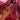 Crimson Gaze