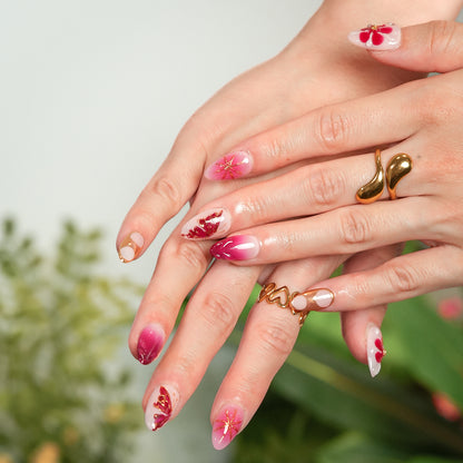 Rosy Butterfly