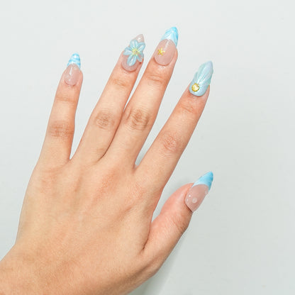 Aqua Starfish