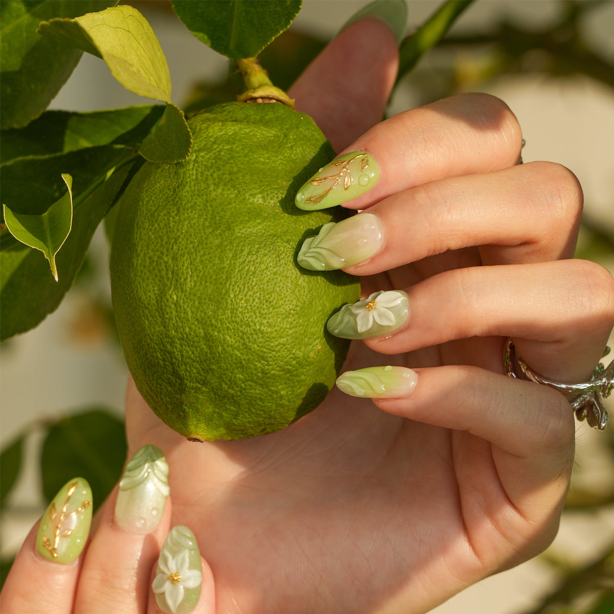 Jade Orchid