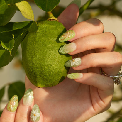 Jade Orchid