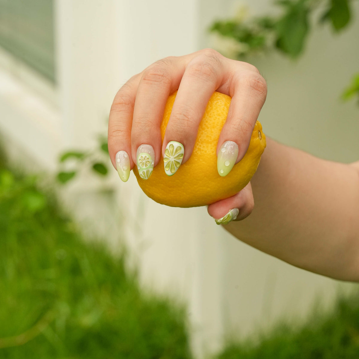 Fresh Lime
