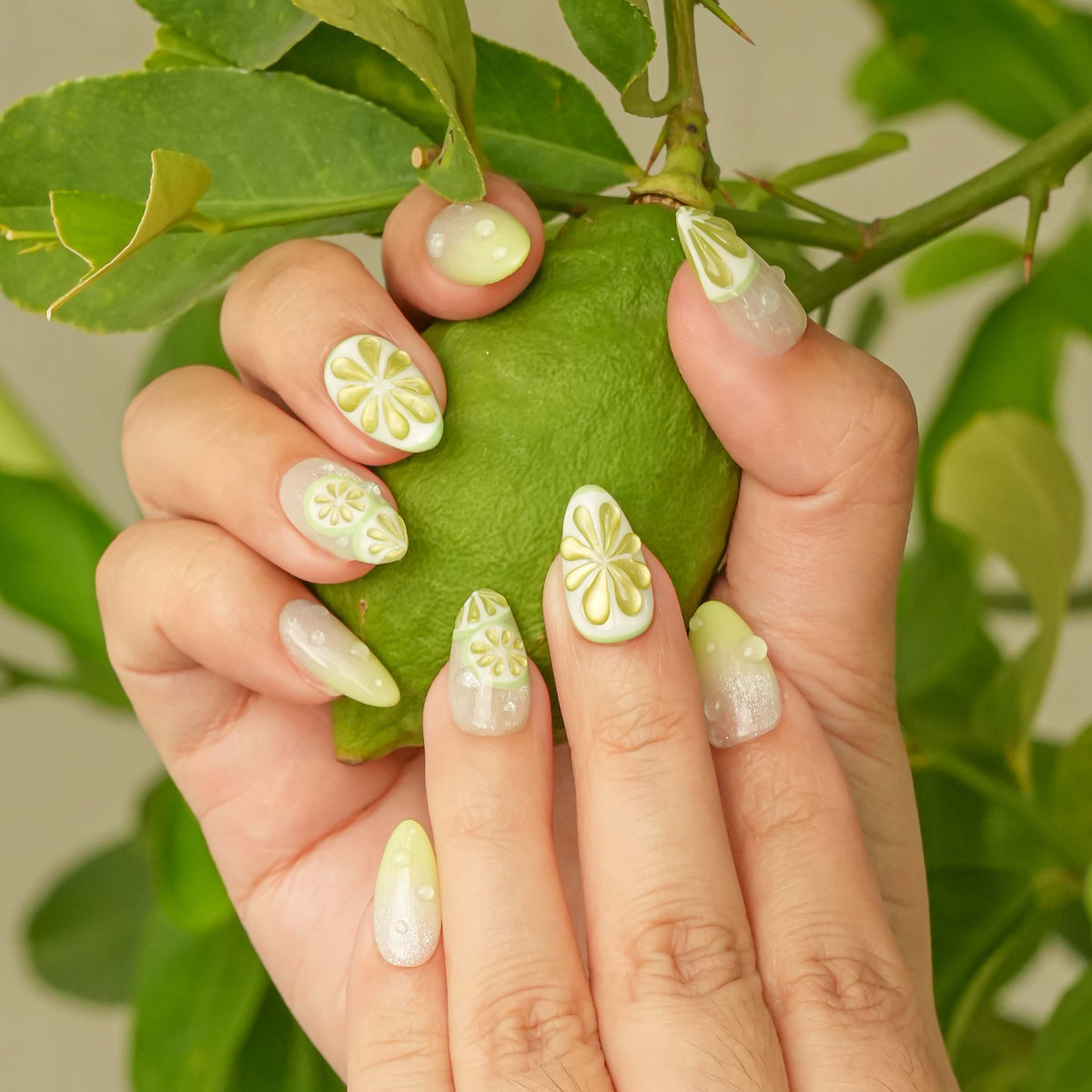 Fresh Lime