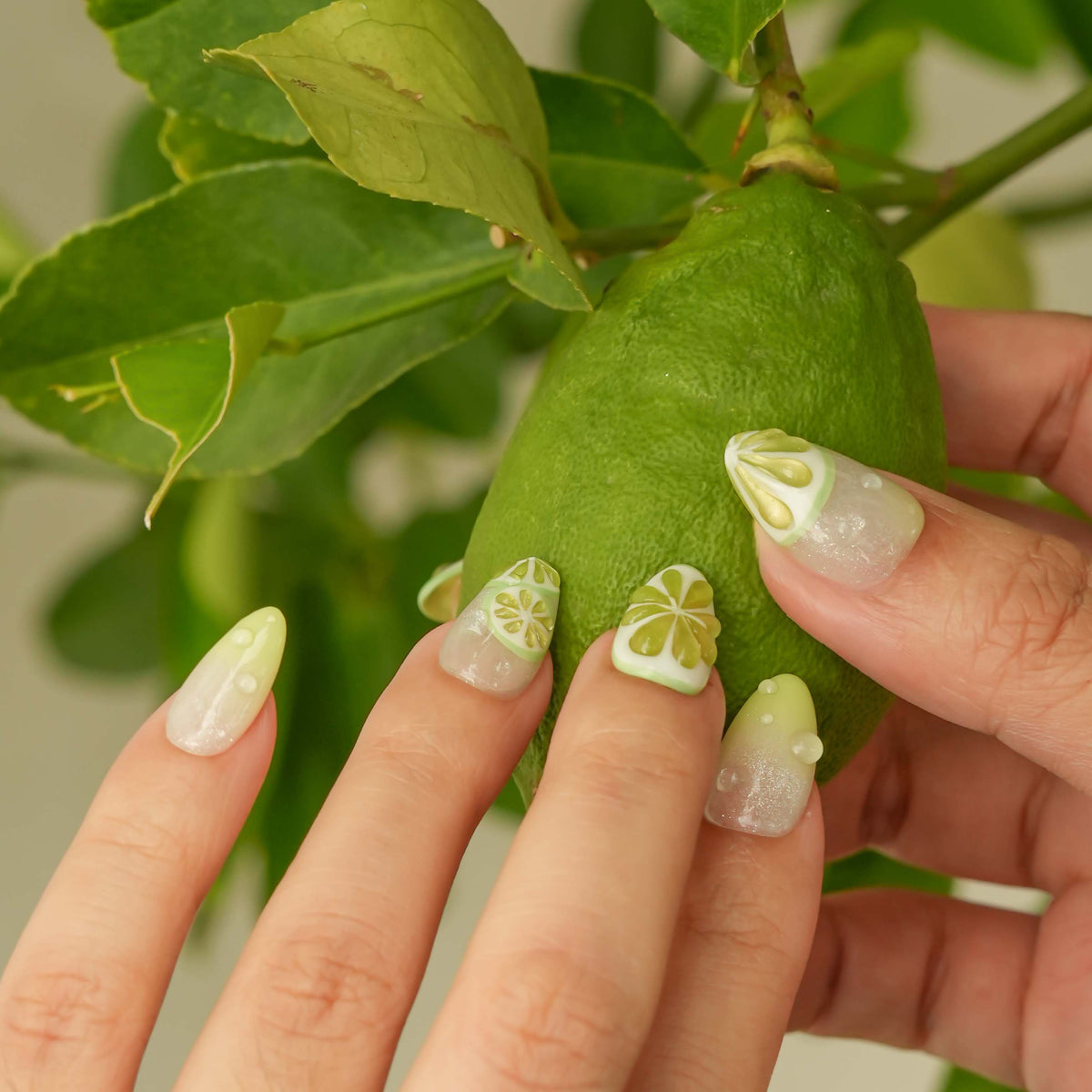 Fresh Lime
