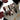 Beeren-Leopard